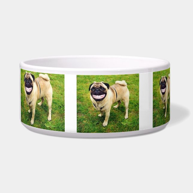 ÉCUELLE CHIEN HEUREUX DE SOURIRE HEUREUX DE MANGER MON BOL (Droite)