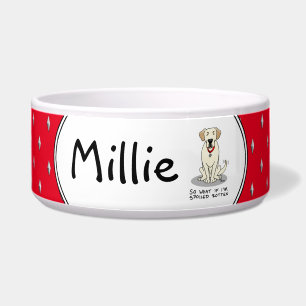 Écuelle Chien Labrador Retriever Jaune Gâté à l'Os Mignon