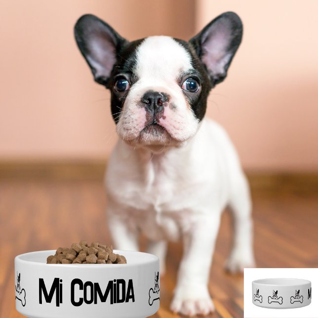 Écuelle Chien mignon avec os, Bouledogue français, Espagno (Créateur téléchargé)