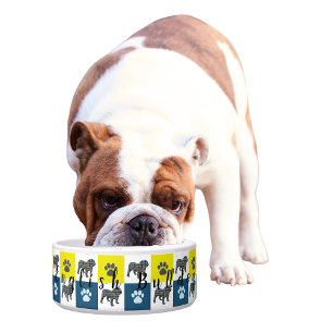 Écuelle Chien-taureau et Paw Jaune et Grille Bleue2