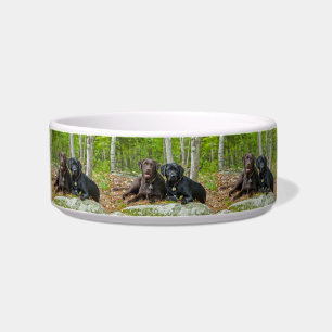 Écuelle Chiens Chiens Marionnettes Black Lab Chocolat Labr