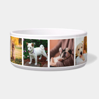 Écuelle Chiens de marionnettes Instagram Photos