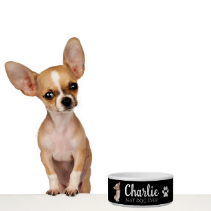 Écuelle Chihuahua Bowl