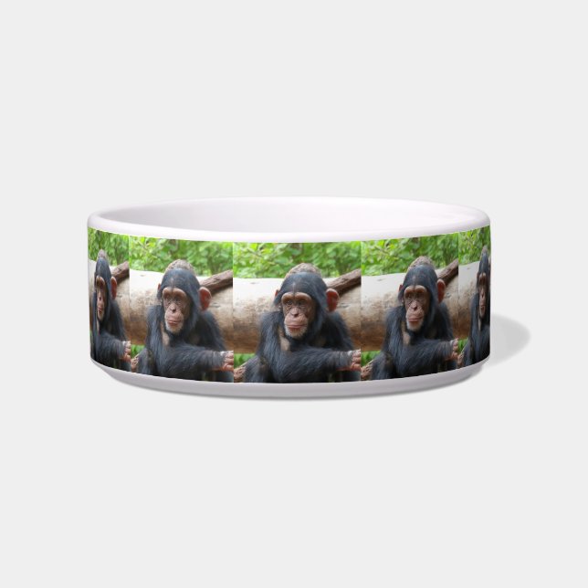 Écuelle Chimpanzee_2015_0504 (Gauche)