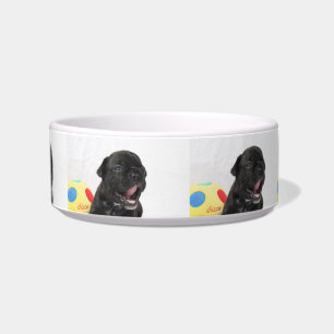 Écuelle Chiot Bouledogue Français