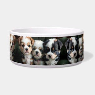 Écuelle Chiots super mignons sur le canapé 2