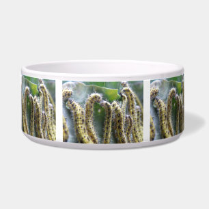 Écuelle Chou affamé Chêne blanc Caterpiliers Chien Bowl