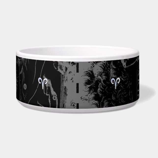 Écuelle Chrome comme Aries Zodiac Connexion Hevelius Black (Devant)