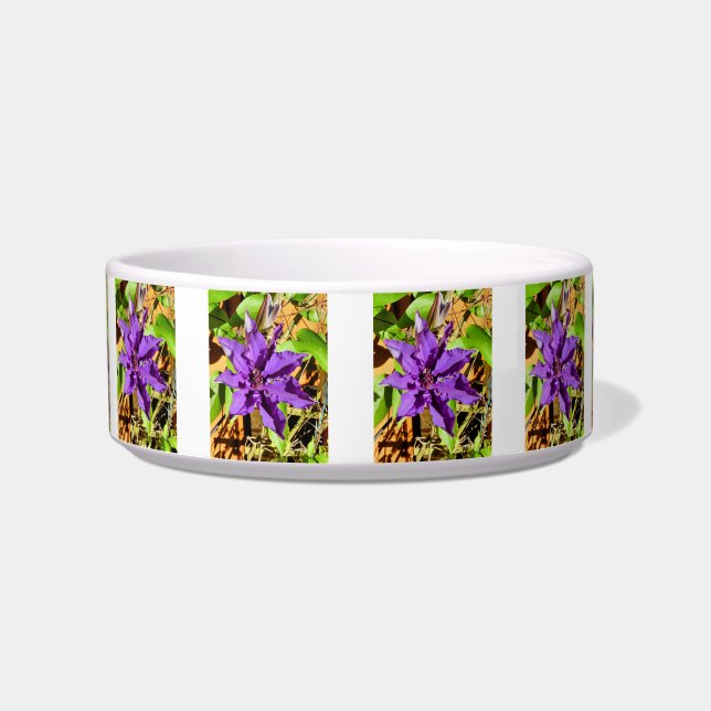 ÉCUELLE CLEMATIS (Devant)