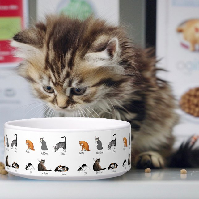 Écuelle Commandes Cat (Créateur téléchargé)