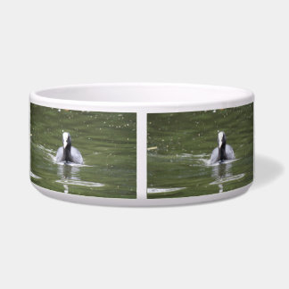 Écuelle Coot Swimming Dog Bowl