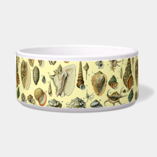 Écuelle Coquillages de coquillages Mollusk Clam Élégant Ar