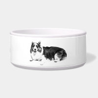 Corgi Repas Doux