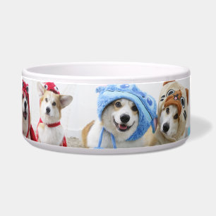 Écuelle Cosplay Corgis Ceramic Pet Bowl