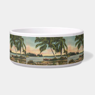 Écuelle Coucher de soleil de brise tropicale vintage de co