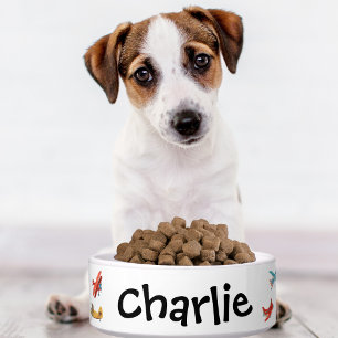 Écuelle Couleur d'eau mignonne avion et nom, chien animal 