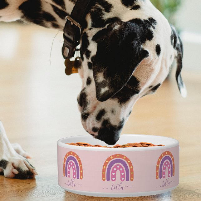 Écuelle Cute Boho rose violet et orange arc-en-ciel fille (pink boho rainbow pet bowl)