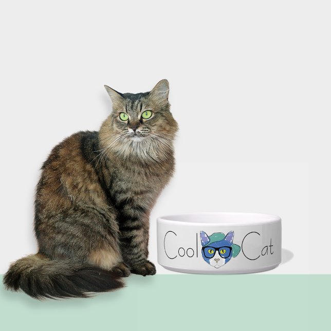 Écuelle Cute Cool gris clair Chat en céramique poêle Bowl (Créateur téléchargé)