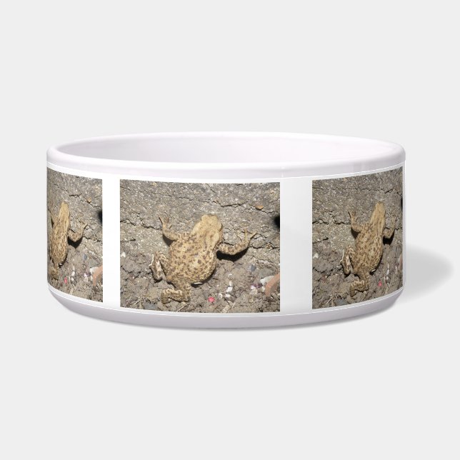Écuelle Cute Crawling Toad Bowl (Gauche)