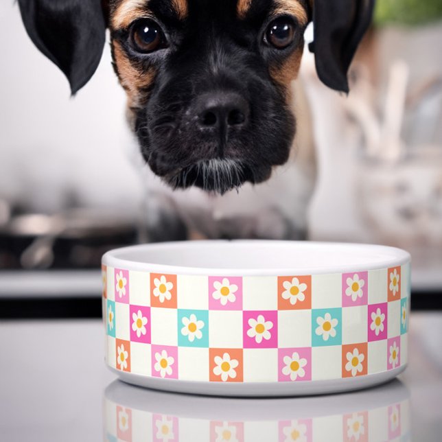Écuelle Cute Daisy Chequerboard Simple animal de compagnie (Cute dog bowl with colorful daisy chequerboard pattern)