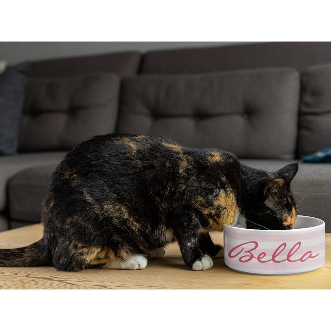 Écuelle Cute Retro rose rayé Chat Kitty Nom de l'animal Al (Cute Retro Pink Striped Cat Kitty Pet Name Food Bowl)