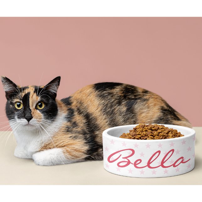 Écuelle Cute Rose Stars Chat Kitty Kitten Chiot Nom de la  (Cute Pink Stars Cat Kitty Kitten Puppy Name Food Bowl)