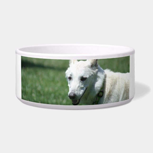 Écuelle Cuvette blanche de chien de berger allemand (Devant)