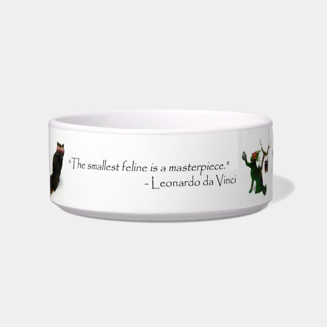 Écuelle Cuvette brutale de chat de Sun (Devant)