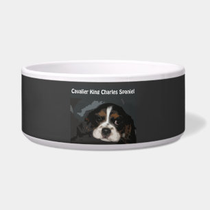 Écuelle Cuvette cavalière de chien d'épagneul du Roi