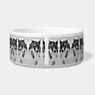 Écuelle Cuvette d'animal familier grande