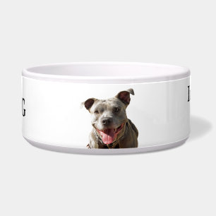 Écuelle Cuvette d'avertissement de chien de bave de
