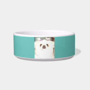 Écuelle Cuvette en céramique de chien de Pekingese