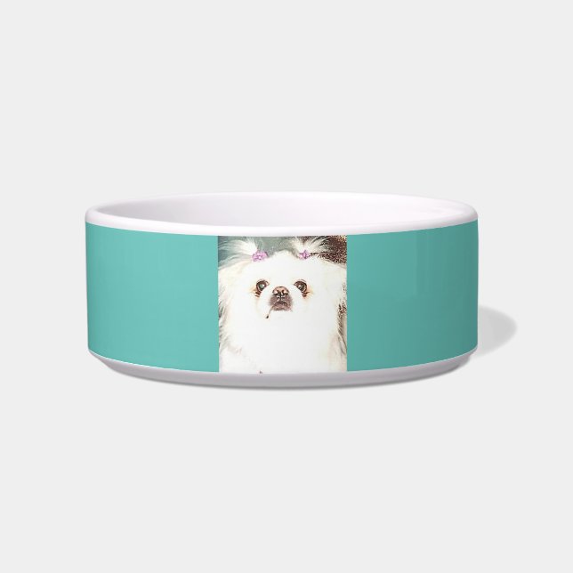 Écuelle Cuvette en céramique de chien de Pekingese (Devant)