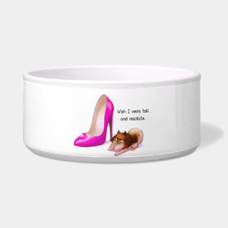 Écuelle Cuvette grande et résolue de chien