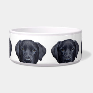 Écuelle Cuvette noire de l'eau de labrador retriever