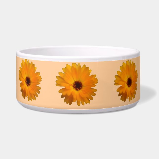 Écuelle Cuvette orange de chien de souci (Devant)