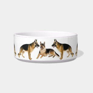 Écuelle Cuvettes d'animal familier de chiens de berger K9