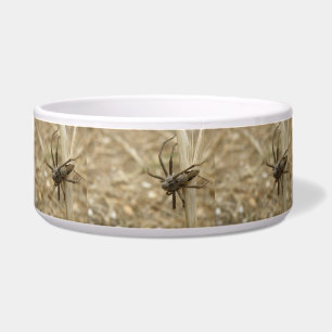Écuelle Déplaisant Crawford Spider Dog Bowl