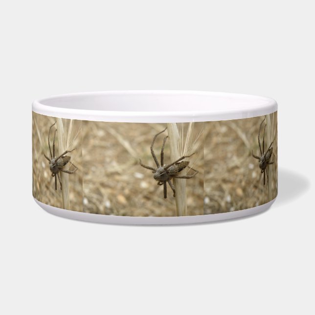 Écuelle Déplaisant Crawford Spider Dog Bowl (Devant)
