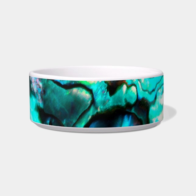 Écuelle Détail de coquille d'abalone turquoise (Devant)