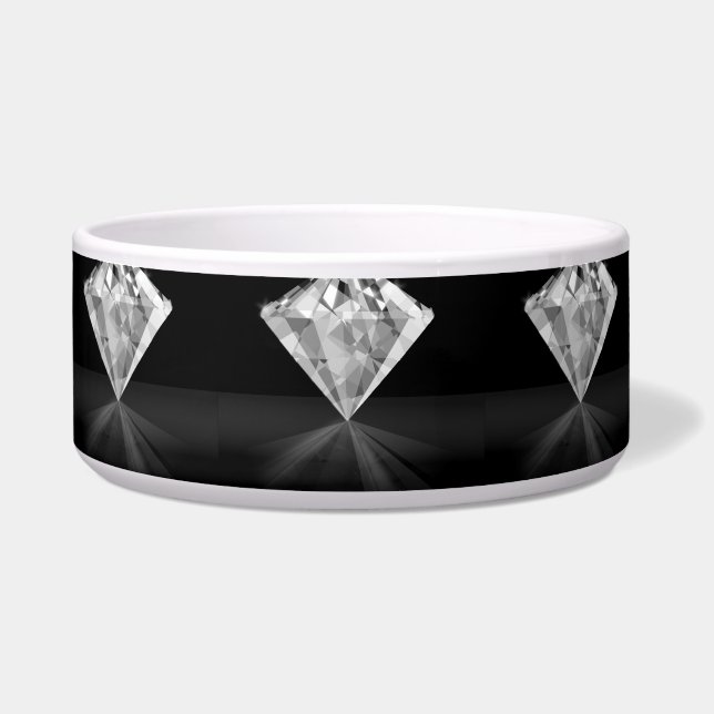 Écuelle Diamant dans le dos (Devant)