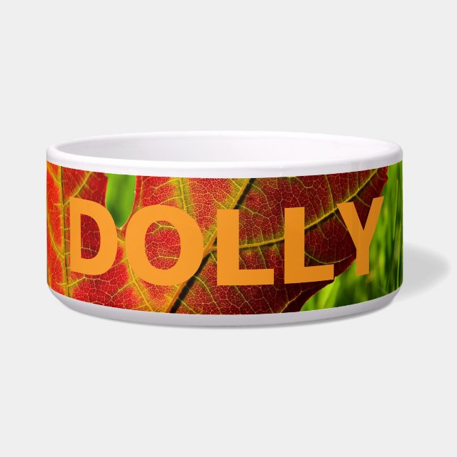 Écuelle Dolly’s Autumn Maple Bowl - 4K (Devant)
