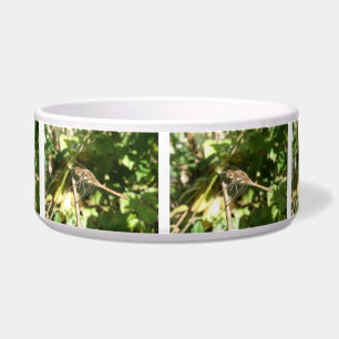 Écuelle Dragonfly on the Twig Dog Bowl