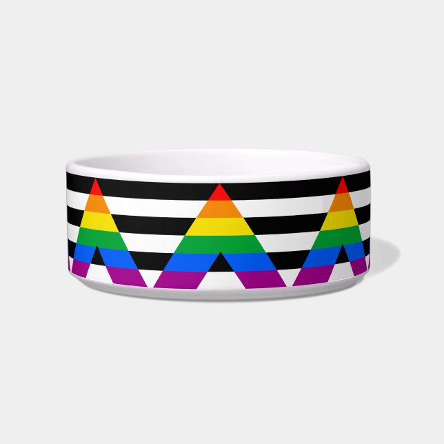 Écuelle Drapeau de l'allié LGBTQ+ (Devant)