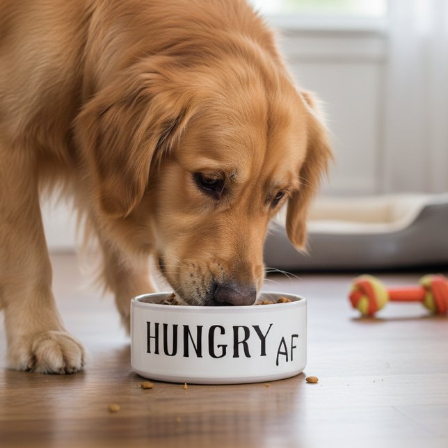 Écuelle Drôle d'humour affamé chien chat animal (Créateur téléchargé)