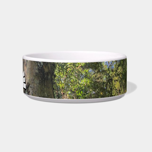 Écuelle Eucalyptus gommiers de la forêt pluviale australie (Droite)