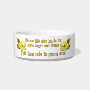 Écuelle Fabrication de la limonade