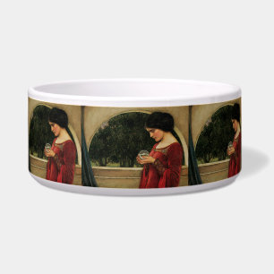 Écuelle Femme à la boule de cristal, peinture de Waterhous