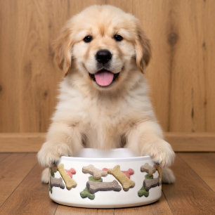 Écuelle Festin multicolore de chien des meilleurs amis de