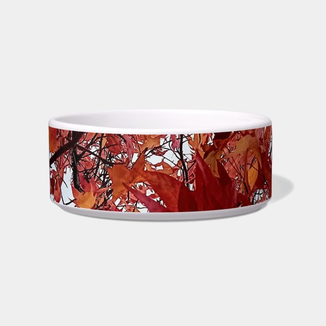 Écuelle Feuille orange et rouge (Devant)